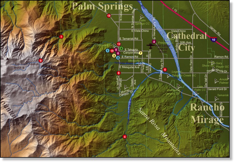 Custom Palms Springs Vector Map
